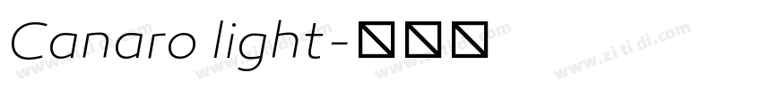 Canaro light字体转换